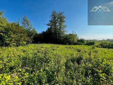 działka na sprzedaż 1443m2 działka Tarnów, Krzyż, Gruszkowa