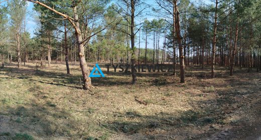 działka na sprzedaż 1000m2 działka Bukowiny