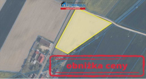 Działka budowlana 7 014 m² z warunkami zabudowy, atrakcyjna cena działka Lipiny