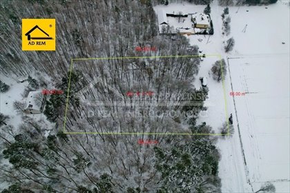 działka na sprzedaż 6000m2 działka Wola Uhruska, Wola Uhruska