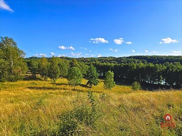działka na sprzedaż 10850m2 działka Kiersztanowo