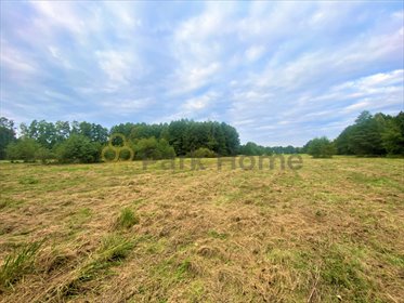 działka na sprzedaż 92781m2 działka Boruja Nowa