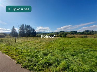 Do sprzedania przestronna działka 18 637 m² w Jeleniej Górze działka Jelenia Góra, Andrzeja Cinciały