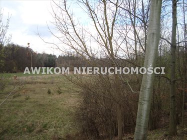 działka na sprzedaż 10300m2 działka Pieńki Zarębskie