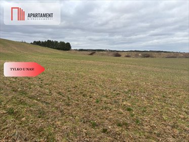 Działki w Liniewskich Górach - spokój, jeziora i natura polecam! działka Liniewskie Góry