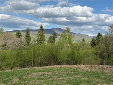 działka na sprzedaż 11600m2 działka Strzebowiska