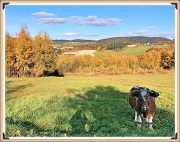Działka inna na sprzedaż Długołęka-Świerkla 6 124m2 Foto 5