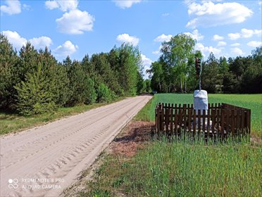 działka na sprzedaż 30000m2 działka Zielona