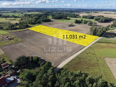 Polecam działkę 11 031 m² w Boroszewie z warunkami zabudowy działka Boroszewo
