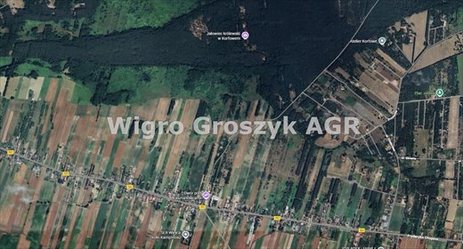 działka na sprzedaż 15361m2 działka Wiejca