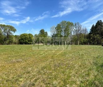 Działka 1000 m² z prądem i wodą w Żółwinie - polecam działka Żółwin
