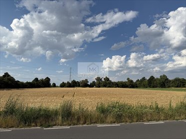 Działka inwestycyjno-budowlana 11 000 m² w Krzyżowicach działka Krzyżowice