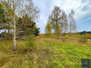 Polecam działkę 1130 m² w Dolaszewie z warunkami zabudowy działka Dolaszewo