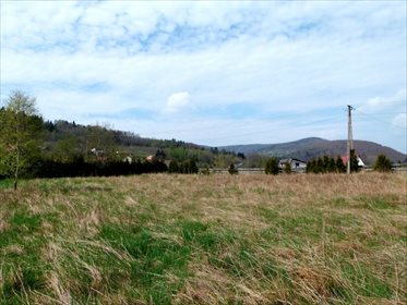 Działka inwestycyjna na sprzedaż Kozubnik 5 800m2 Foto 5