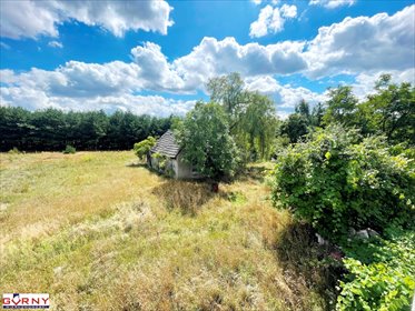 Duża działka 3000 m² z potencjałem, zadrzewienia, media działka Witów-Kolonia