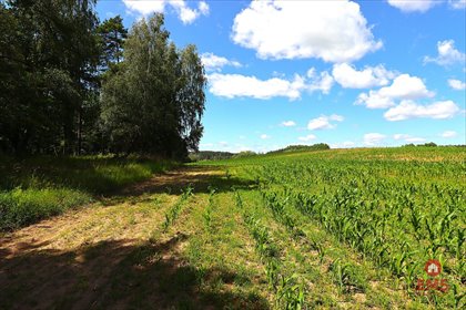 działka na sprzedaż 1100m2 działka Rożyńsk Wielki