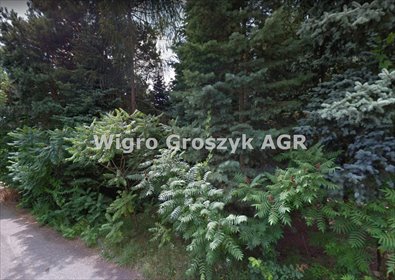 Polecam działkę 1894 m² z domem w Hornówku - idealną pod zabudowę działka Hornówek