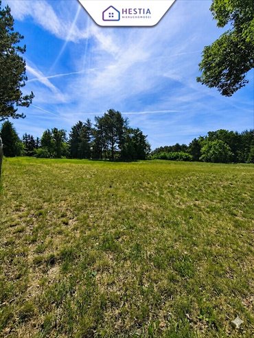 Działka 1240 m2 w Sownie – spokój, natura i WZ działka Sowno