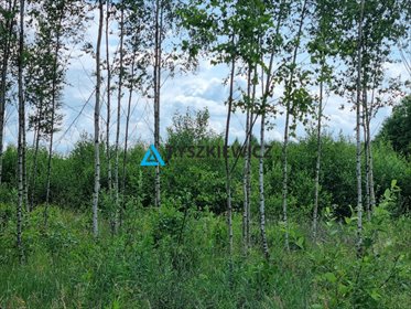 działka na sprzedaż 3015m2 działka Puc