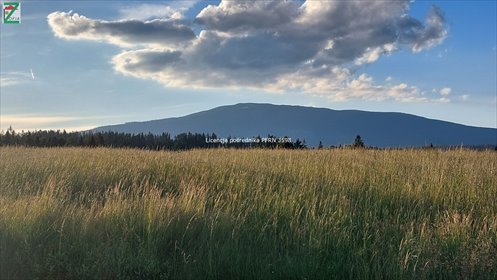 działka na sprzedaż 4000m2 działka Lipnica Wielka