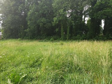 Działka rolna pod dzierżawę Chojna 2 013m2 Foto 4