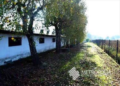 Magazyn na sprzedaż Kaszów 1 000m2 Foto 3