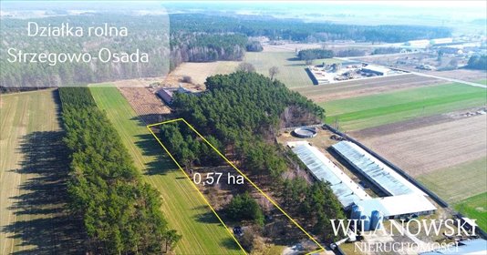 działka na sprzedaż 5700m2 działka Strzegowo