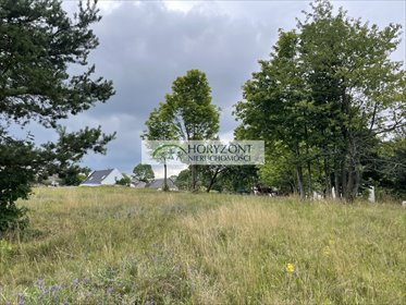 działka na sprzedaż 5047m2 działka Nowa Wieś Przywidzka