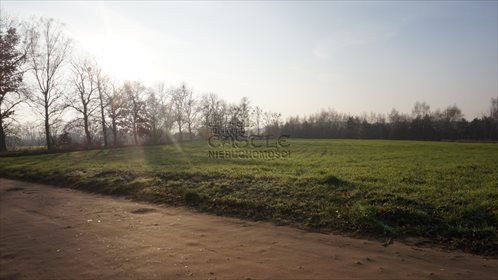 Działka budowlana na sprzedaż Mieściska, Topolowa 4 972m2 Foto 6