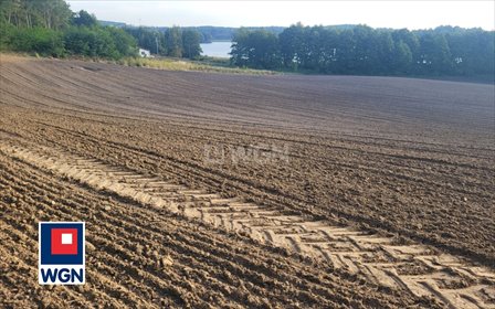 Działka z linią brzegową jeziora Chwałowskiego - polecam! działka Mogilno, Wieniec
