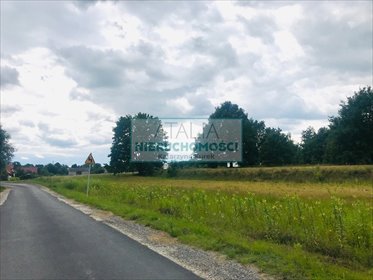 Działka 1950 m² w zielonej okolicy Powązek, media działka Powązki