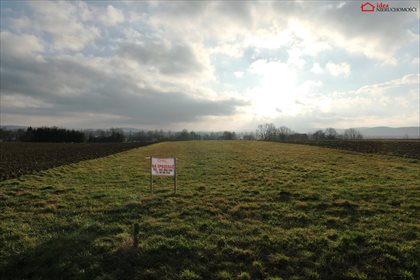 Działka budowlana na sprzedaż Bzianka 1 592m2 Foto 2