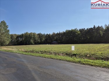 Działki budowlane z lasem - blisko Term Mszczonów działka Gąba