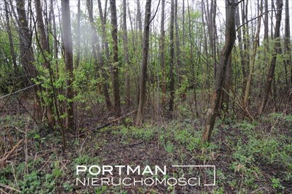 działka na sprzedaż 3243m2 działka Lipowo