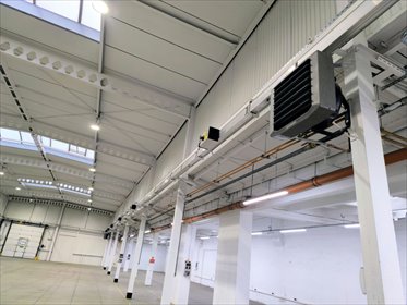 lokal użytkowy na wynajem 1242m2 lokal użytkowy Katowice