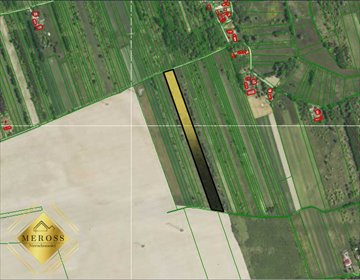 Działka gospodarstwo rolne na sprzedaż Skrzydlów 31 097m2 Foto 7