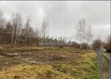 działka na sprzedaż 1500m2 działka Izabelin-Dziekanówek