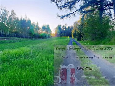 działka na sprzedaż 3200m2 działka Zemborzyce Podleśne