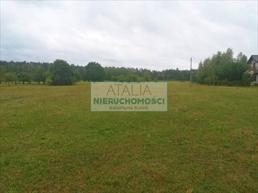 Działka usługowa 2141 m² w Radziejowicach - polecam działka Radziejowice