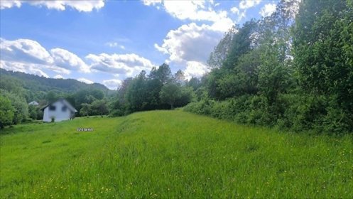 Na sprzedaż działka 970 m² w Szarej, spokojna okolica działka Szare