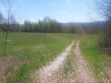 działka na sprzedaż 5100m2 działka Mogilany