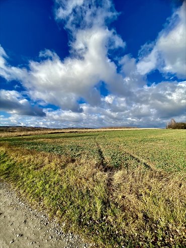 działka na sprzedaż 42000m2 działka Mogielnica