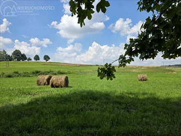 Urokliwa działka 1,10 ha w Jodłowej - zapraszam działka Jodłowa