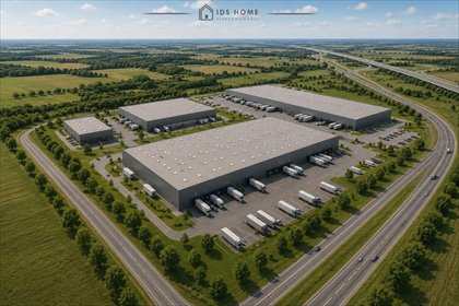 Polecam działkę inwestycyjną 50 000 m² przy S17 w Rykach działka Ryki