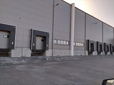 lokal użytkowy na wynajem 1200m2 lokal użytkowy Końskie