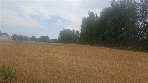 działka na sprzedaż 4000m2 działka Paniówki, Paniówki, Sportowa/Podzamcze