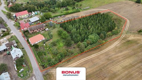 Urokliwy dom z dużą działką i lasem w Słodkowie. dom Słodkowo