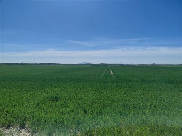 działka na sprzedaż 1080m2 działka Lutynia, Lutynia