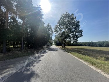 działka na sprzedaż 90000m2 działka Przygodzice