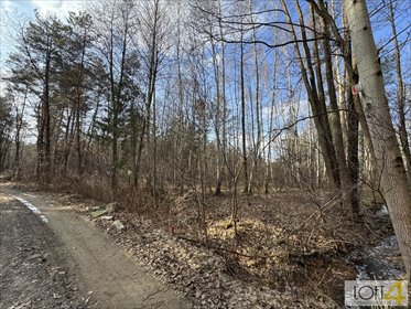 Działka leśna 3400 m² w Starych Żukowicach - polecam działka Stare Żukowice